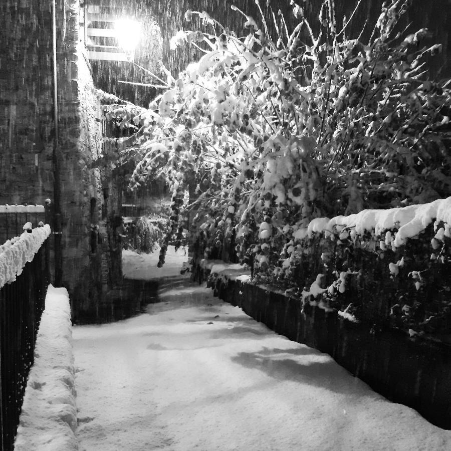 Le Mie Radici Bed & Breakfast Scopello  Exterior foto